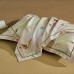 Комплект постельного белья из сатина люкс арт.2113